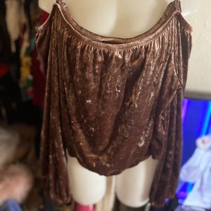 Crushed Velvet off the Shoulder Blouse